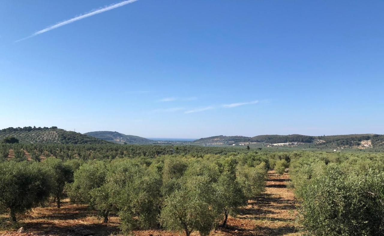 Borgo Rosoli Βιέστε Εξωτερικό φωτογραφία