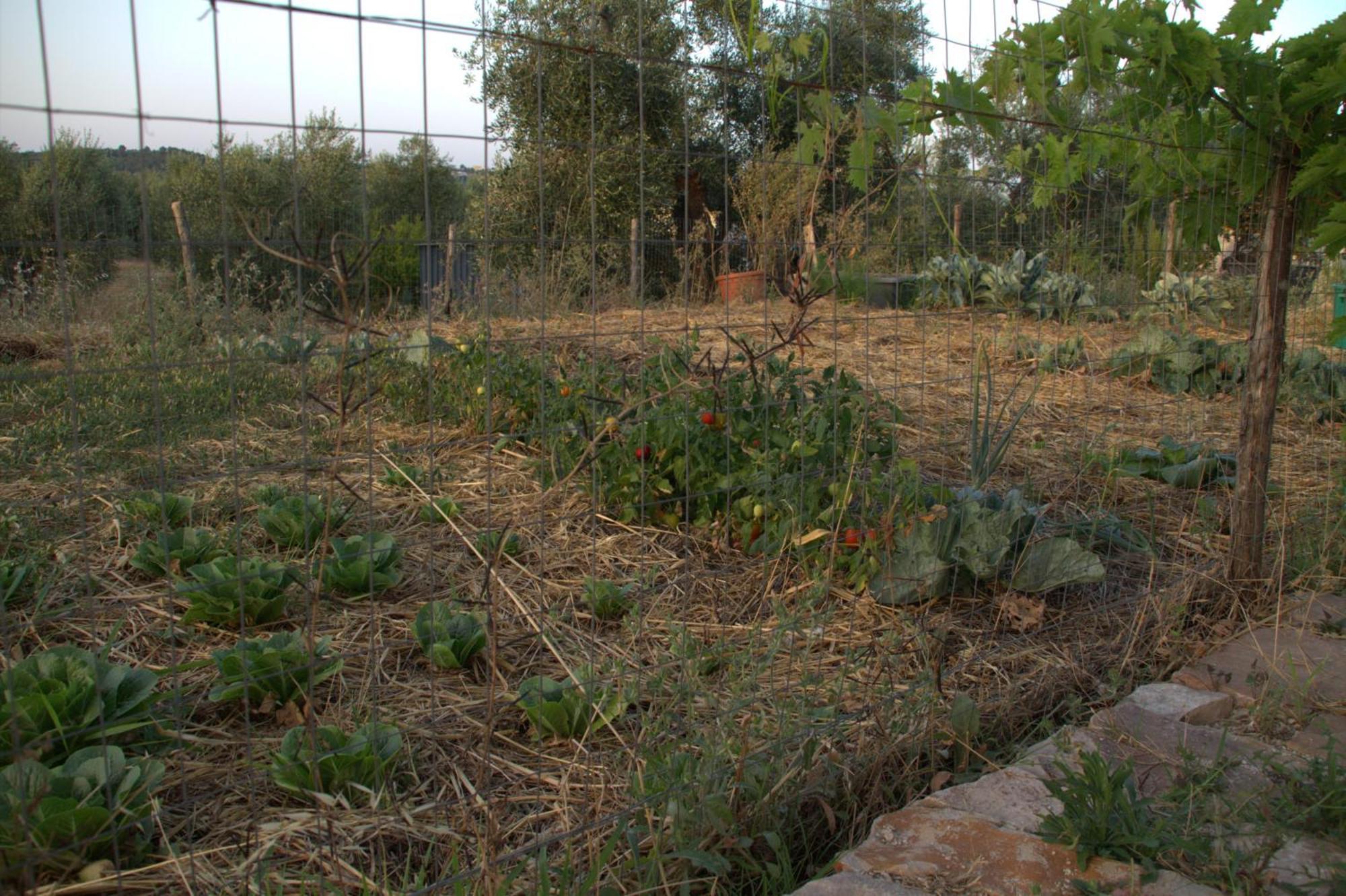 Borgo Rosoli Βιέστε Εξωτερικό φωτογραφία