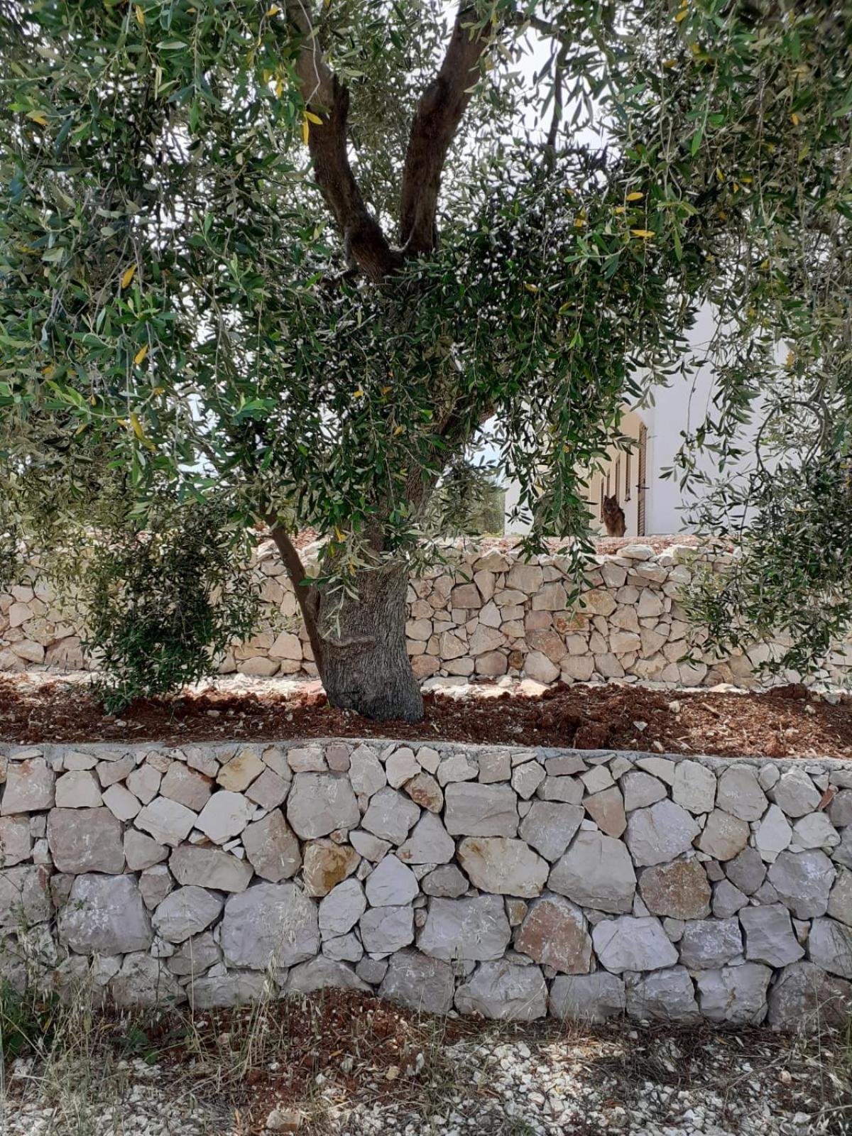 Borgo Rosoli Βιέστε Εξωτερικό φωτογραφία