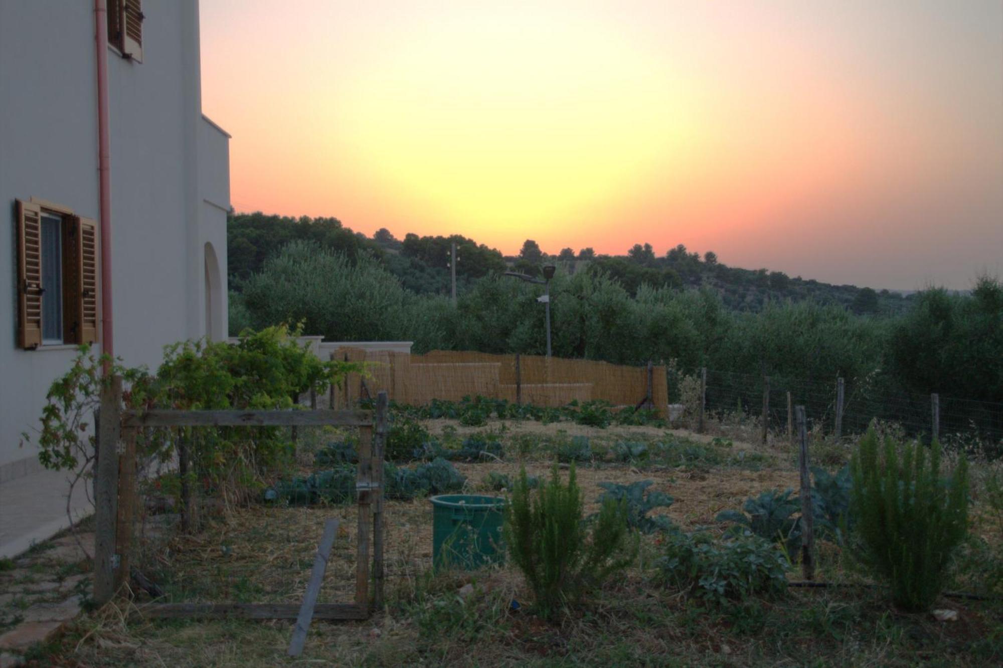 Borgo Rosoli Βιέστε Εξωτερικό φωτογραφία