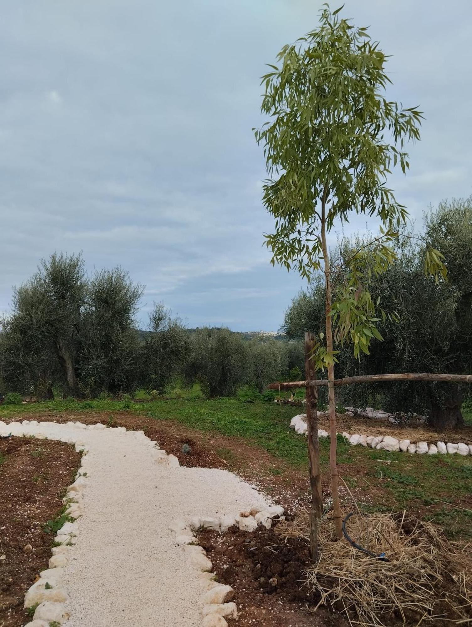 Borgo Rosoli Βιέστε Εξωτερικό φωτογραφία