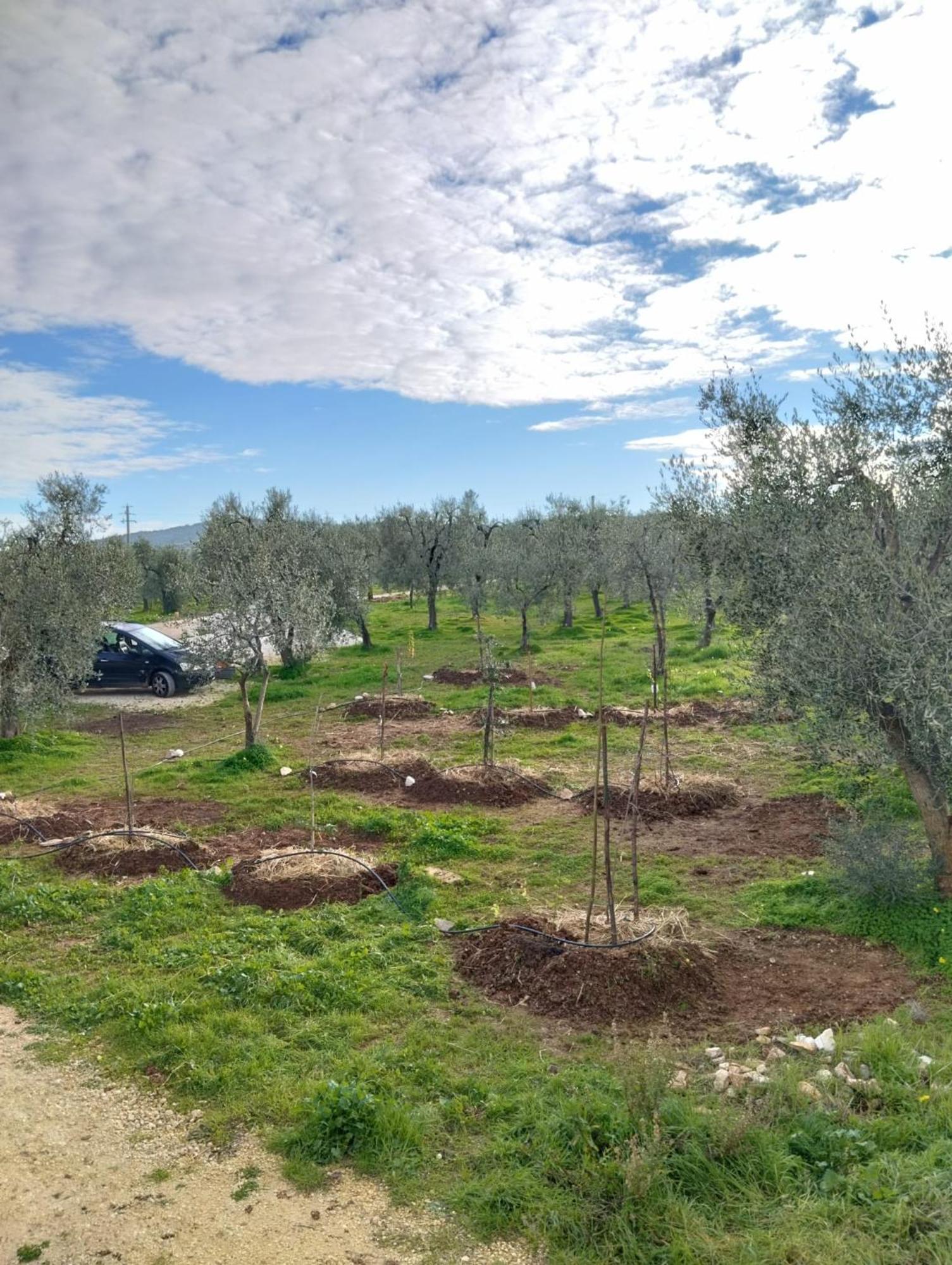 Borgo Rosoli Βιέστε Εξωτερικό φωτογραφία