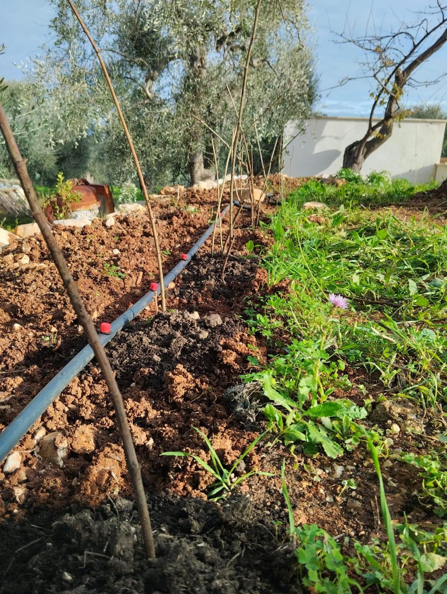 Borgo Rosoli Βιέστε Εξωτερικό φωτογραφία